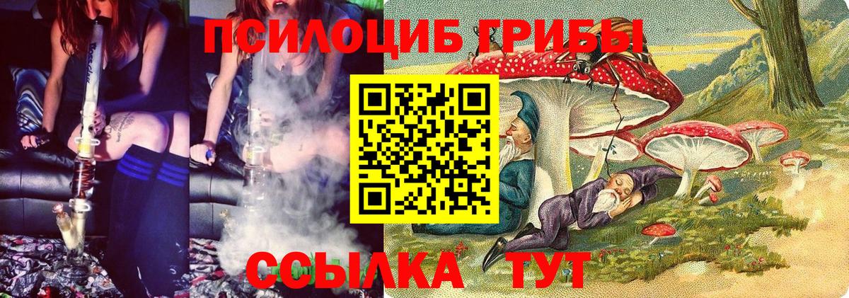 Тимашёвск  Псилоцибиновые грибы Cubensis  Вход с VPN 
