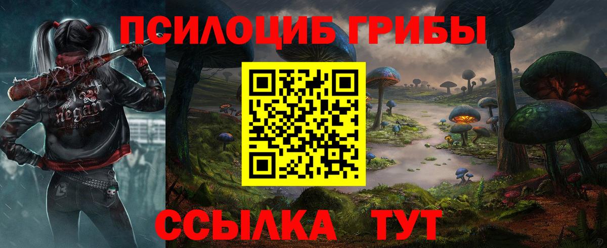 Псилоцибиновые грибы мицелий Тимашёвск
